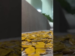 Θεραπευμένη θρυαλλίδα επαναρύθμισης PPTC μόνη, επανατοποθετήσιμη φλόγα θρυαλλίδων Polyswitch - καθυστερών