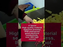 Διαδικασία επιλογής υλικού υψηλής ποιότητας, αδιάβροχο IP68, καλωδίωση 6*30 πάνω από 30A υψηλό ρεύμα ny