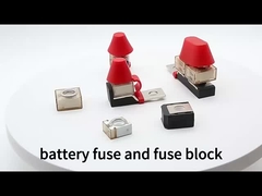 Μπλοκ ασφαλειών ακροδεκτών MRBF με ασφάλειες διπλού πείρου Συμπαγής ασφάλεια μπαταρίας θαλάσσης 30A-300A 58V