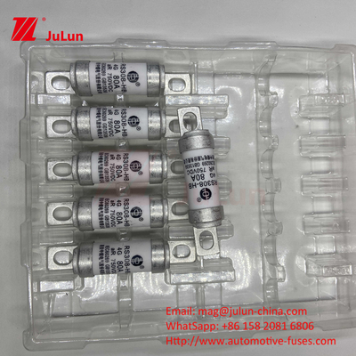 Ηλεκτρική ασφάλεια RS308 DC750V 10A 15A 20A με εξαιρετική αντοχή σε δονήσεις 63A