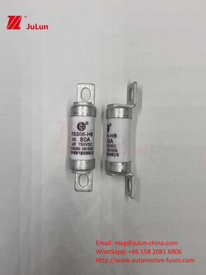EV RS308 Φυτέρος Μηχανομηχανικό Σοκ 25A 30A 40A 50A Κεραμικό Χαλκό Διορισμένη τάση DC750V Σπίτι EV φορτιστή για ηλεκτρικό αυτοκίνητο