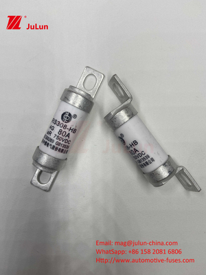 Κεραμικές ασφάλειες EV 750VDC για ασφαλή φόρτιση αυτοκινήτων 63A25A 15A 30A 750VDC RS308 FUSE