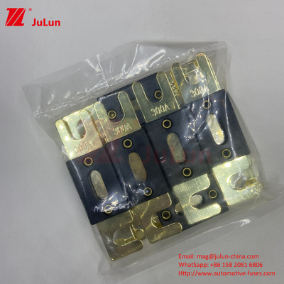 2Fork Bolt AGU Fuse 200A/ANL Fork Bolt Fuse Plate Fuse Αυτοκινητοβιομηχανική ασφάλεια 500A