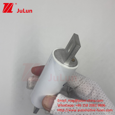 RS309-MM-EV300A Μεσαία σύντηξη AC 1000VDC 1000VAC σε ηλεκτρικά συστήματα υψηλής τάσης για ηλεκτρικά οχήματα