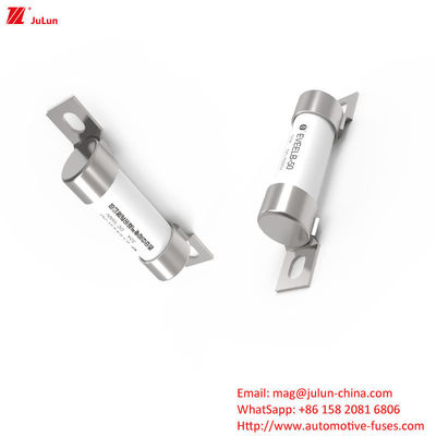 Μέθοδος συσκευασίας σε κιβώτιο DC Ev Charger Adapter Fuse συμβατή με την προστασία EV