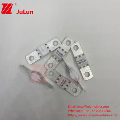 ΑΣTM 300A 125VDC Στρογγυλοσυσσωρευτής A121601 για την προστασία ηλεκτρικών οχημάτων