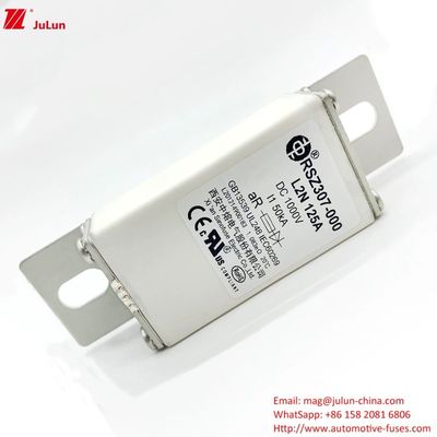 RSZ307 Σιδηροτροφία στο τερματικό τύπο EV φορτιστή ασφάλειες με μέσο χαρακτηριστικό σύντηξης
