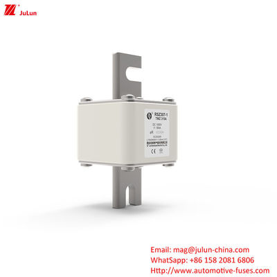 315A DC250V φορητή EV φορτιστή ασφάλιστρα Τελική λύση για τους ιδιοκτήτες EV