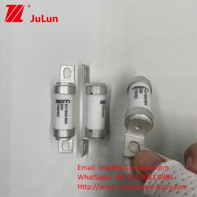 80A 700VDC M6 10kA Σωστήρας χωρητικότητας σπάσματος για φόρτιση ηλεκτρικών αυτοκινήτων συνεχούς ρεύματος