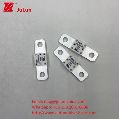 Η ασφάλεια μπαταρίας αυτοκινήτου 100A 125V DC παρέχει αξιόπιστη και αποτελεσματική προστασία