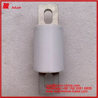 RS309-MD 400A 500VAC 200KA 500VDC 50KA AR Τυβώδεις κεραμικές αυτοκινητοβιομηχανικές ασφάλειες Εγκατάσταση βρόγχος Προστασία ημιαγωγών