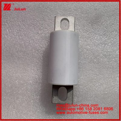 500A 400A RS309-MF EVE 750VDC ((UL) Οδικά οχήματα σωληνώδη κεραμικά συστήματα αποθήκευσης ενέργειας ηλεκτρικά συστήματα φορτιστήρια καλώδια αυτοκινητοβιομηχανικές συσκευές και εξοπλισμός 20KA