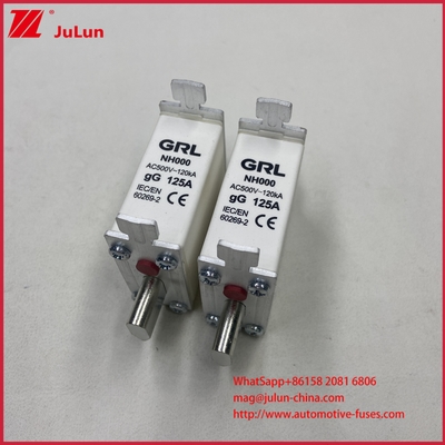 225A 160A 125A NT000/NH000 125A Ασφαλιστική Τήξη/Θήκη Ασφάλειας Ασφάλεια Λεπίδας Κεραμική Πορσελάνη Βάση Ασφάλειας
