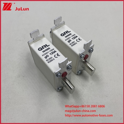 225A 160A 125A NT000/NH000 125A Ασφαλιστική Τήξη/Θήκη Ασφάλειας Ασφάλεια Λεπίδας Κεραμική Πορσελάνη Βάση Ασφάλειας