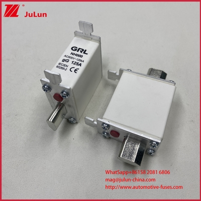 225A 160A 125A NT000/NH000 125A Ασφαλιστική Τήξη/Θήκη Ασφάλειας Ασφάλεια Λεπίδας Κεραμική Πορσελάνη Βάση Ασφάλειας