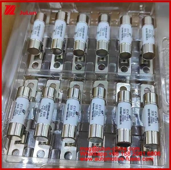 EV315-L 3EB 30A Φυτέ 10A 15A 20A 25A 30A 40A 50A DC500V Κηραμικό V Home Ev φορτιστή για ηλεκτρικά αυτοκίνητα