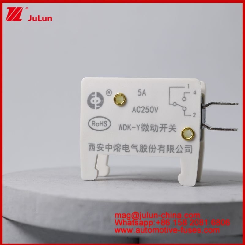 WDK-Y 5A 250V Micro Switch Automobile Mount Fuse Για EV / HEV Οχήμα Ειδικά σχεδιασμένη βάση ασφάλειας για το όχημα Κατάσταση