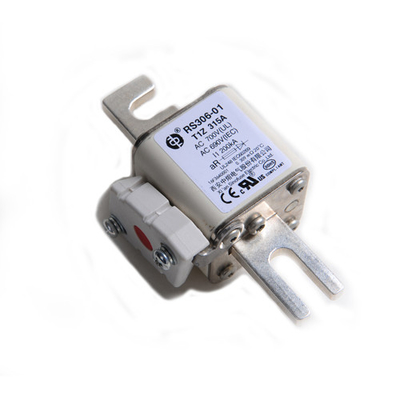 Ραγών κεραμικές αυτόματες θρυαλλίδες RS306 690V ηλεκτρικής ενέργειας σκαφών οχημάτων διέλευσης ηλεκτρικές