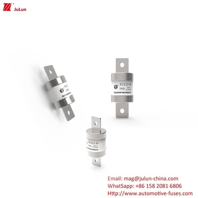 Μεσαίου μεγέθους ηλεκτρικό οχήμα EV315-M-5NB DC500V